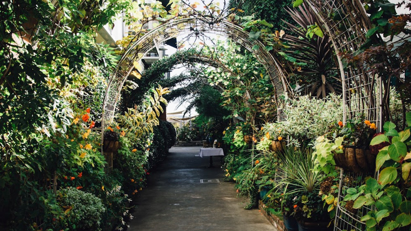 an archway at Celadon, as featured in the Azur Wines wine blog on the best spots to see in downtown Napa in a day