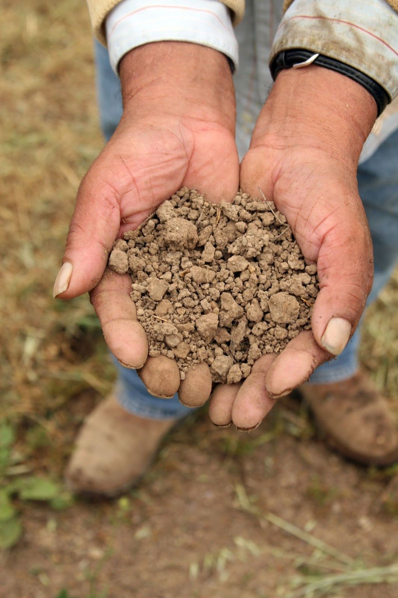 types of soil wine uses for growing as featured in azur wines